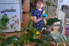 IMG-88bdaaac7e58fb1d8822576357c4e827-V
